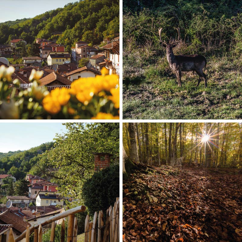 Locanda del Daino - Casa di Caccia - Grondona Alessandria a cavallo tra la Valle Spinti e la Val Borbera